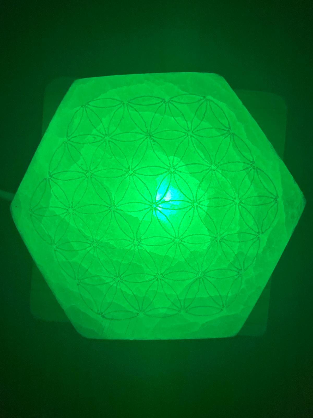 Selenite Esagoni con Fiore della Vita - immagine 5