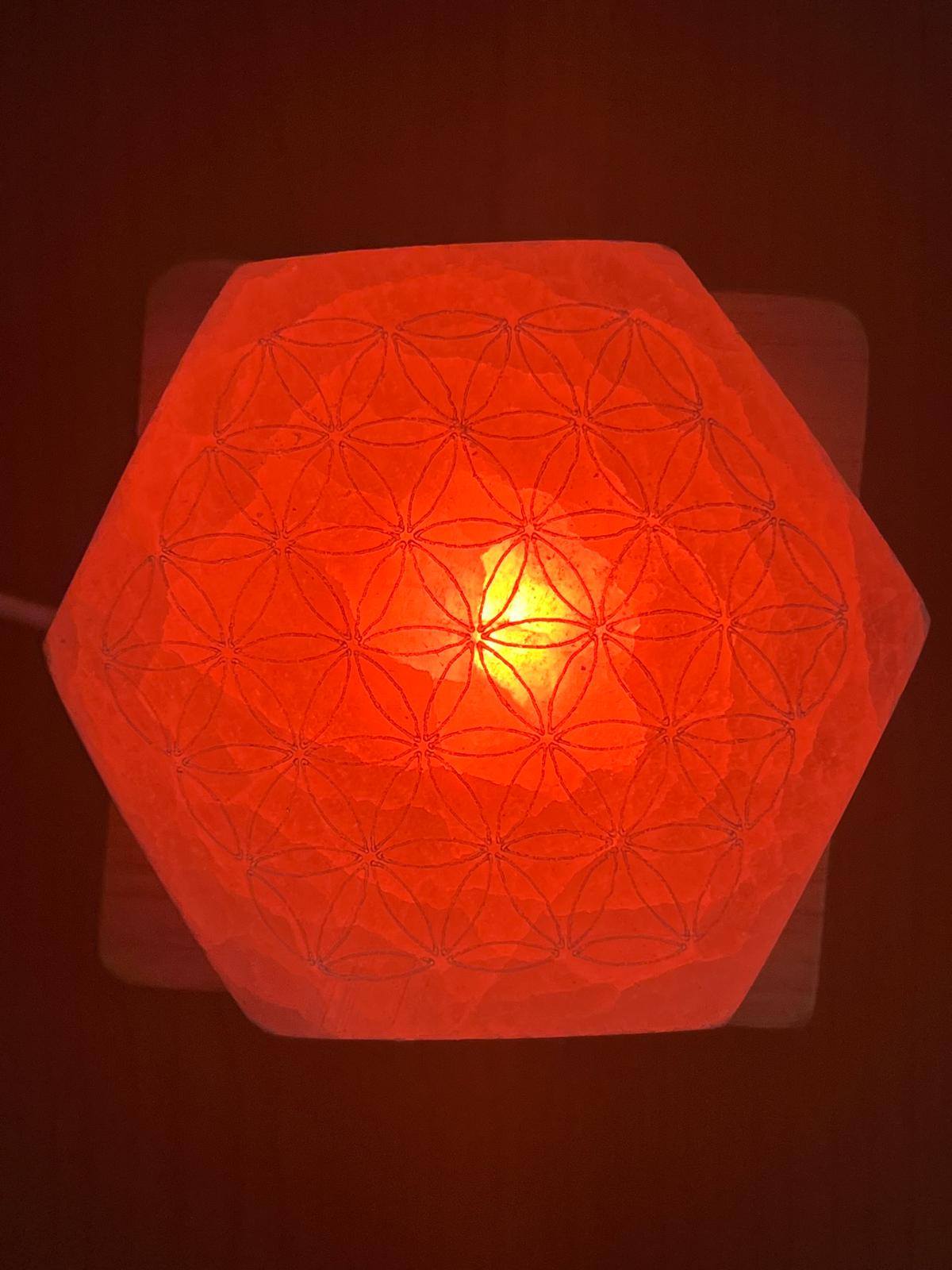 Selenite Esagoni con Fiore della Vita - immagine 6