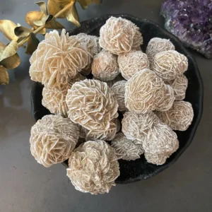 Rosa del Deserto Messicano