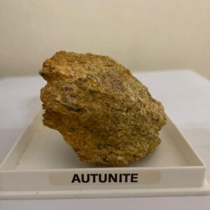 Autunite Collezione