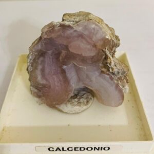 Calcedonio Collezione