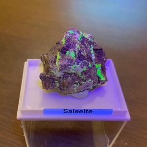 Saleeite Collezione