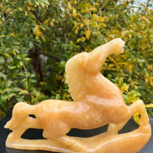 Cavallo Giada Gialla Kg 2300 larga 29 cm alta 21,5