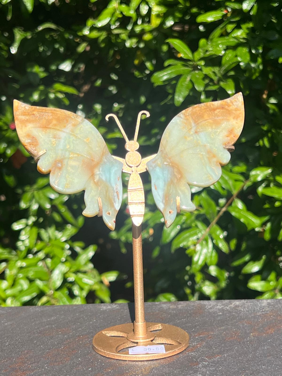 Farfalla in Calcite Caraibica