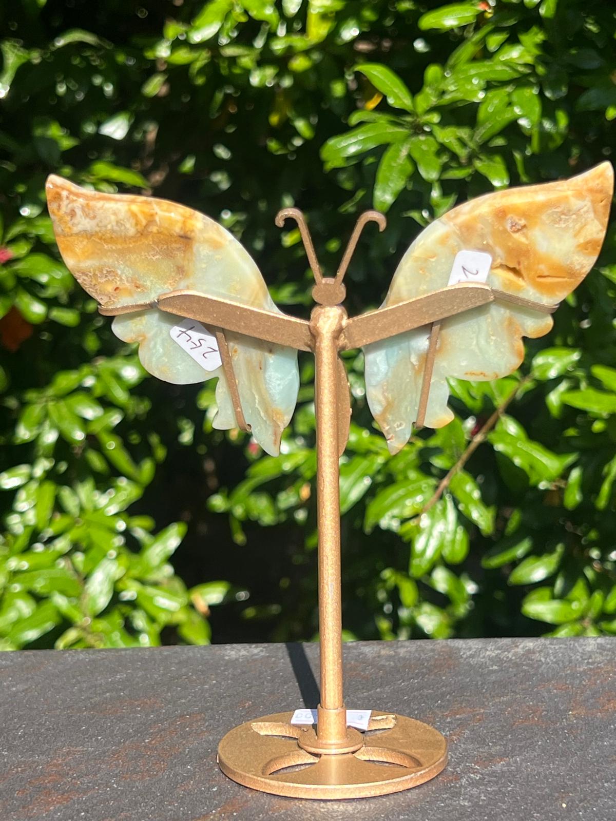 Farfalla in Calcite Caraibica - immagine 3