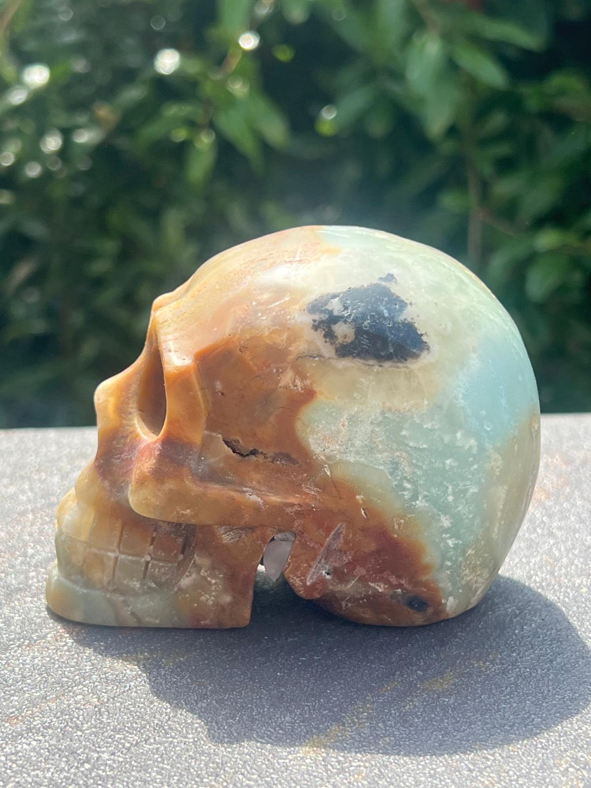 Teschio Calcite Caraibica gr 606 - immagine 5