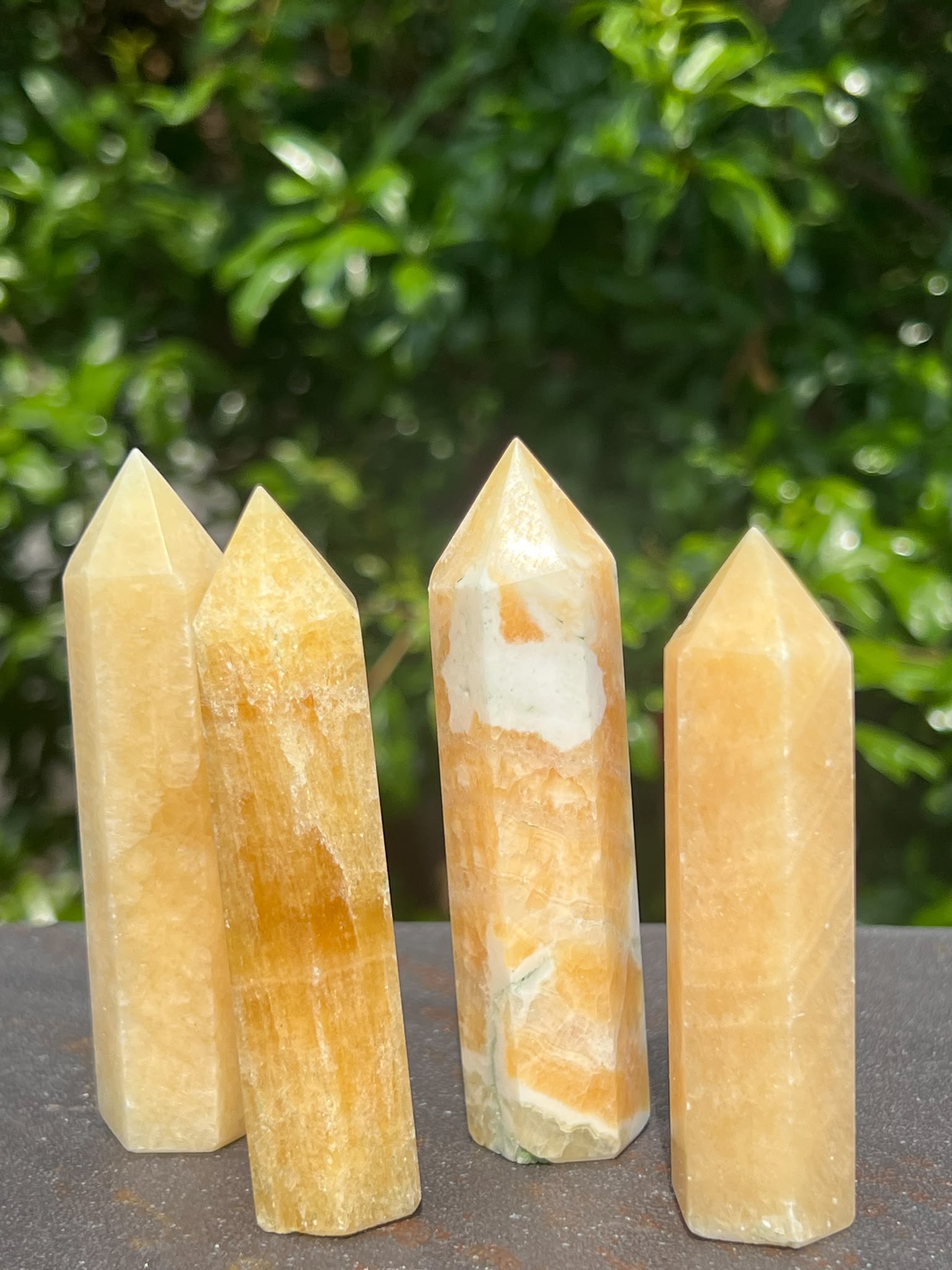 Torri Calcite Miele cm 8/9